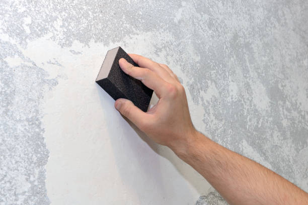 Trusted Powells Crossroads, TN Mold Removal Experts